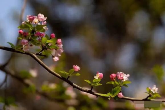 người nhẫn tâm là gì ?