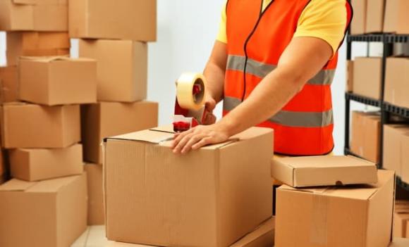ngành có việc làm cao, ngành gì dễ xin việc, ngành dễ xin việc trong tương lai