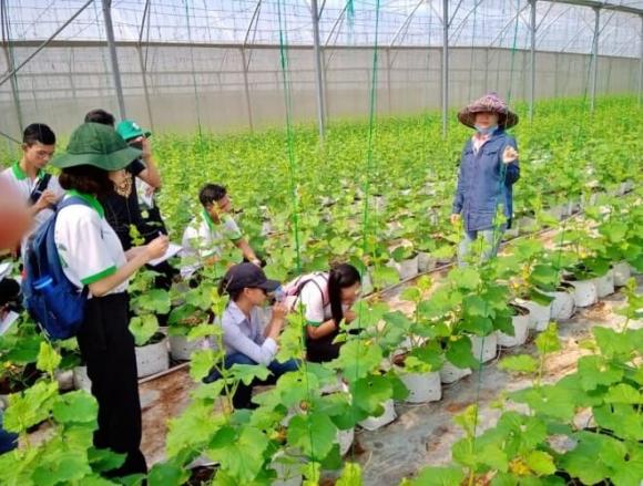 ngành có việc làm cao, ngành gì dễ xin việc, ngành dễ xin việc trong tương lai