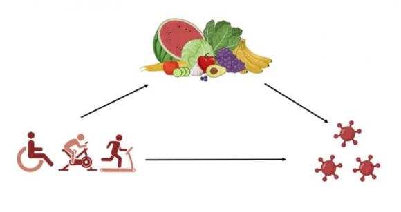  chống lão hóa, kéo dài tuổi thọ