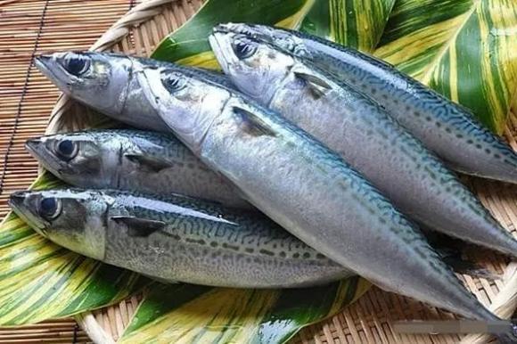 cá thu, giàu Omega-3