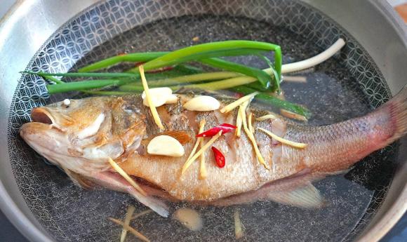 cá chẽm, cá vược