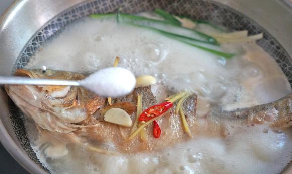cá chẽm, cá vược