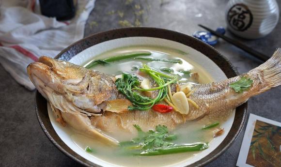 cá chẽm, cá vược