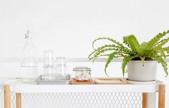 nước đun sôi, nước khoáng, nước đóng chai