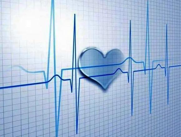  nhịp tim, nhịp tim nhanh hay chậm cách nhau 9 năm tuổi thọ, Người có nhịp tim nhanh và người có nhịp tim chậm, ai sống lâu hơn