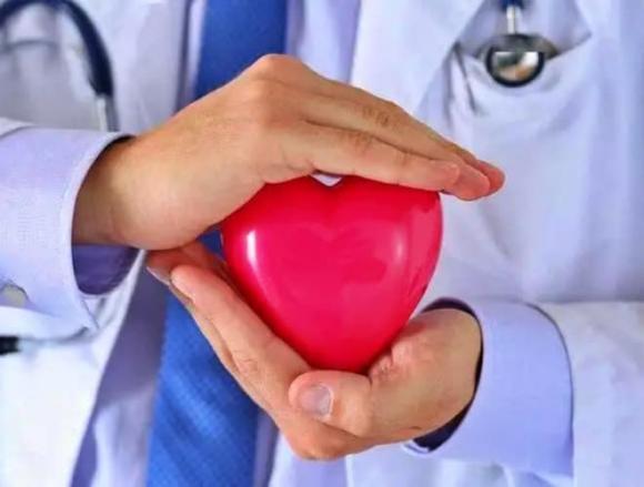 nhịp tim, nhịp tim nhanh hay chậm cách nhau 9 năm tuổi thọ, Người có nhịp tim nhanh và người có nhịp tim chậm, ai sống lâu hơn