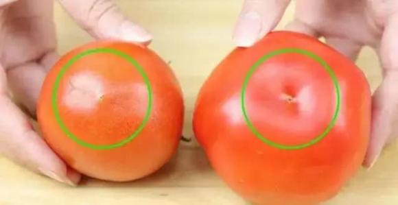 cà chua, kinh nghiệm đi chợ, chọn cà chua