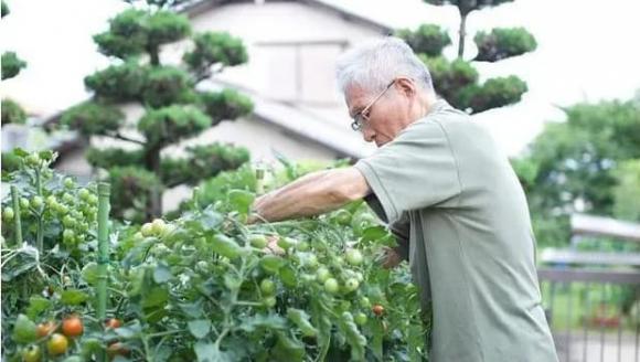 cuộc sống ở thành phố, người nghỉ hữu có nên về quê dưỡng già, 