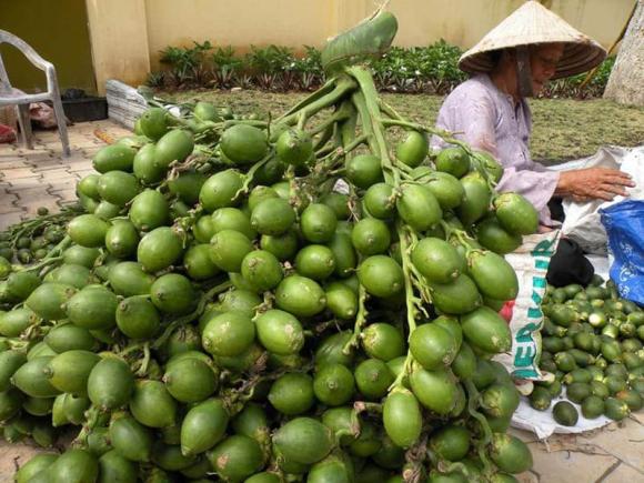 giá quả cau, giá cau, giá cau tăng, quả cau, quả cau đẹp, kiến thức 