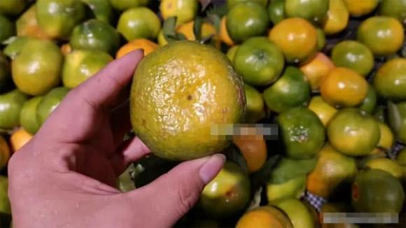 quả cam, cam ngon, mẹo vặt gia đình 