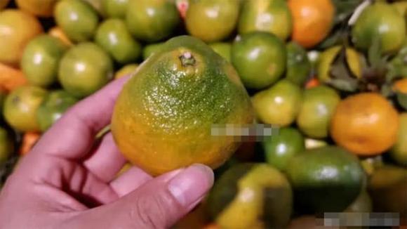 quả cam, cam ngon, mẹo vặt gia đình 