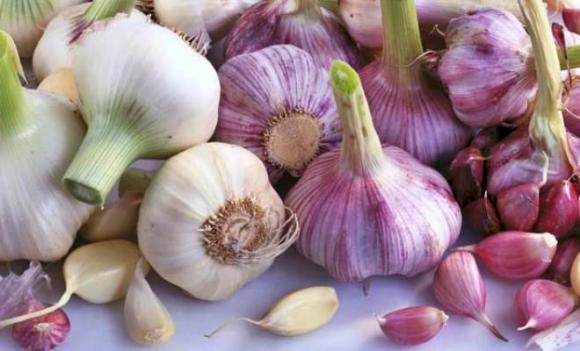 cách chọn tỏi, loại tỏi nhất định đừng mua, cách chọn tỏi chất lượng