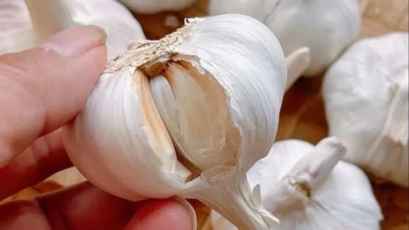 cách chọn tỏi, loại tỏi nhất định đừng mua, cách chọn tỏi chất lượng