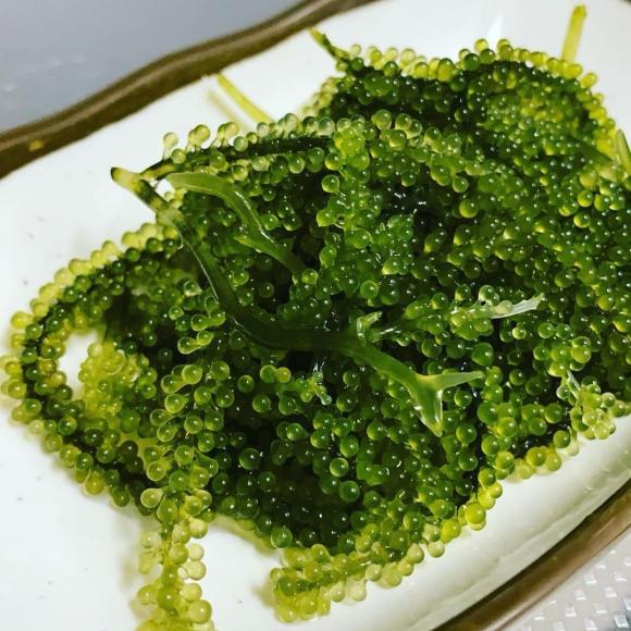 rong nho, tác dụng của rong nho 