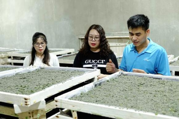 Nông dân 8x, nông dân 8x nuôi tằm, nông dân 8x thu tiền tỷ
