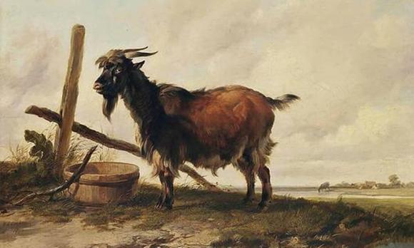 Tử vi, con giáp, tử vi hàng ngày, tử vi ngày 27/10/2024