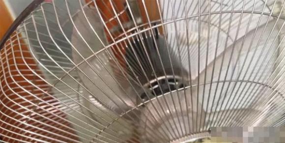 quạt điện, vệ sinh nhà cửa, vệ sinh thiết bị