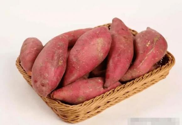 khoai lang, khoai lang hấp, món ngon mỗi ngày