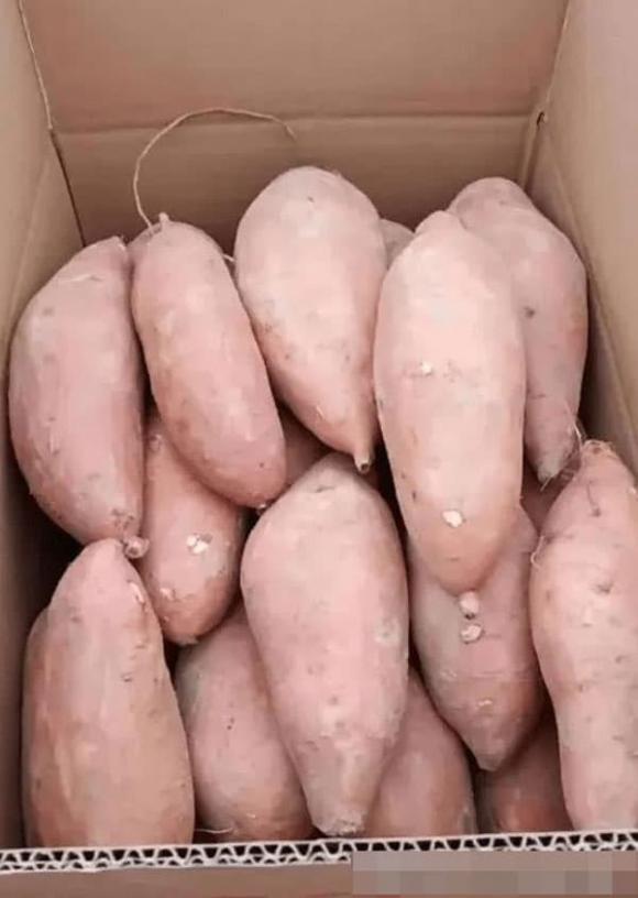 khoai lang, khoai lang hấp, món ngon mỗi ngày