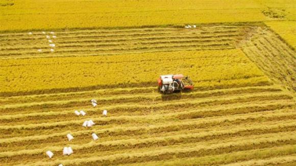 Miền Nam, Việt Nam, Các tỉnh miền Nam, Kiến thức