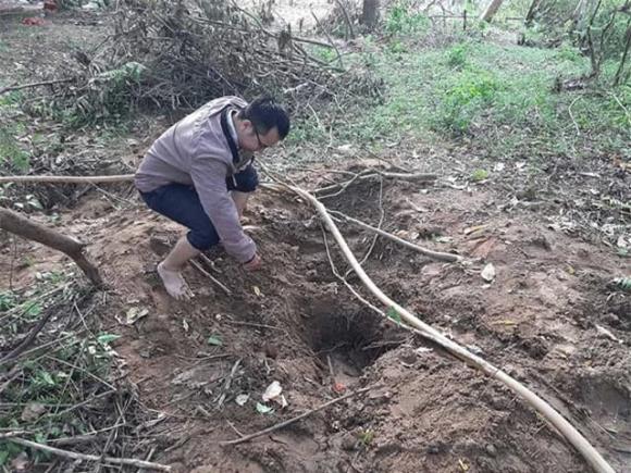 Người đàn ông từng đào được cây gỗ quý bậc nhất Việt Nam: Giá trị thực gần 6 tỷ đồng, thức trắng đêm để bảo vệ 1