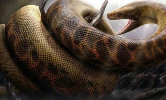 Dầu mỏ Việt Nam tập trung ở đâu, Mỏ dầu ở việt nam, khai thác dầu mỏ
