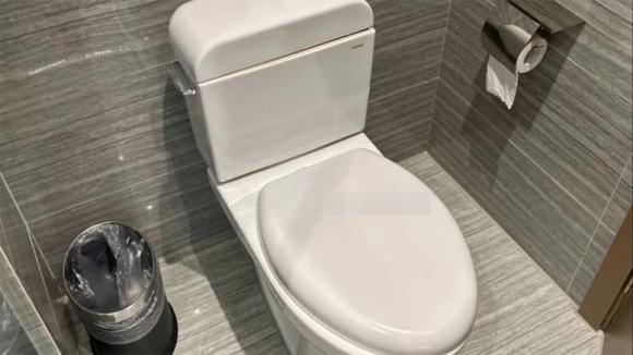 Đi vệ sinh, nhà vệ sinh, vứt giấy vào bồn cầu