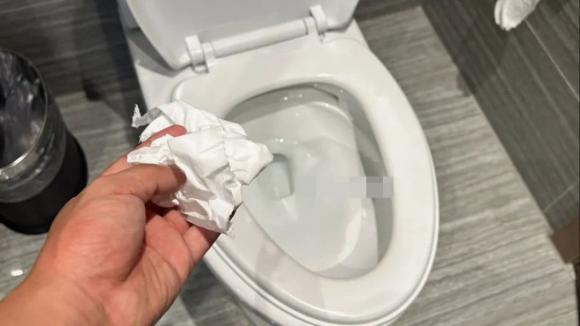 Đi vệ sinh, nhà vệ sinh, vứt giấy vào bồn cầu
