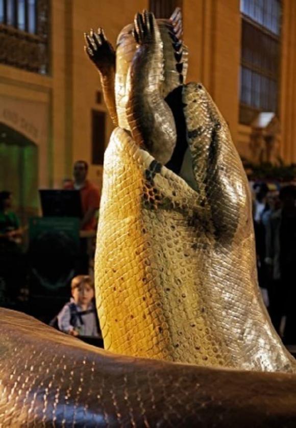 rắn khổng lồ, trăn lớn