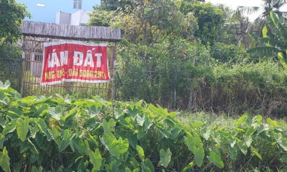 Hà Tây, Hà Tây cũ, Hà Tây giờ là quận nào, Hà Tây sáp nhập năm nào, kiến thức 