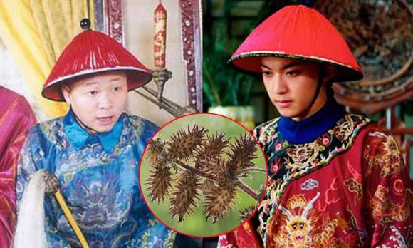 nhà tần tan rã, Tần Thủy Hoàng