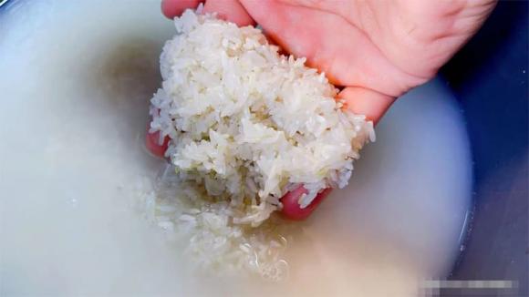 nấu cơm, giấm trắng, dầu, dạy nấu ăn