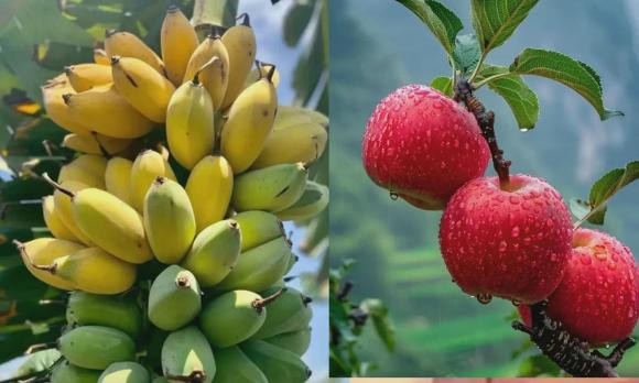 khám phá bí mật