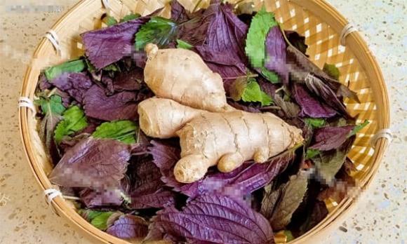 tía tô, củ gừng, chăm sóc sức khỏe