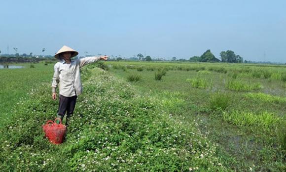 xuất khẩu lao động, đi xuất khẩu lao động, nên đi xuất khẩu lao động nước nào, xuất khẩu lao động lương cao nhất 