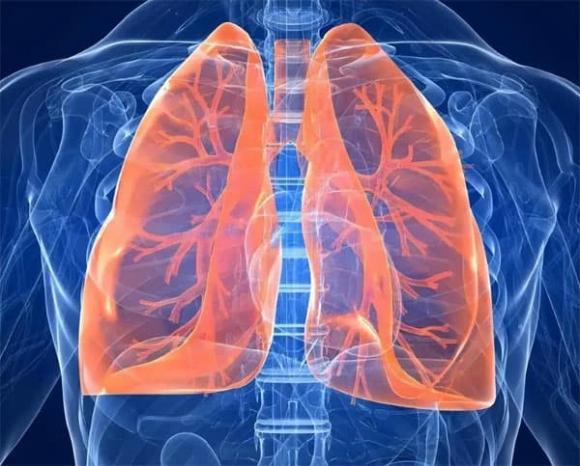 bệnh dạ dày, tỏi sống, chăm sóc sức khỏe