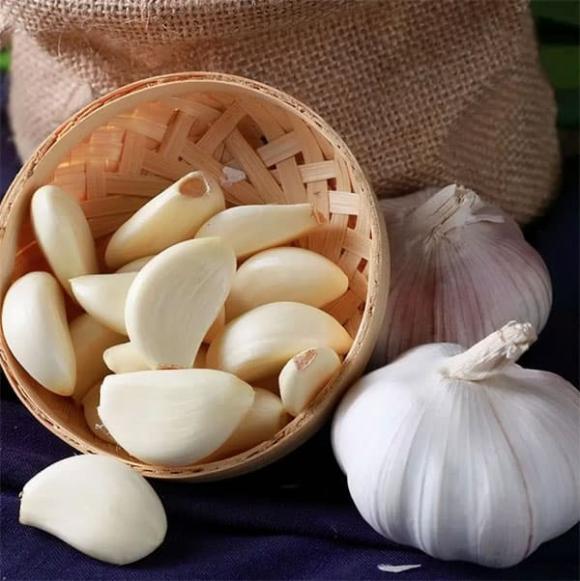 bệnh dạ dày, tỏi sống, chăm sóc sức khỏe