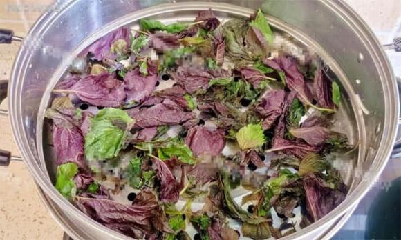 tía tô, củ gừng, chăm sóc sức khỏe