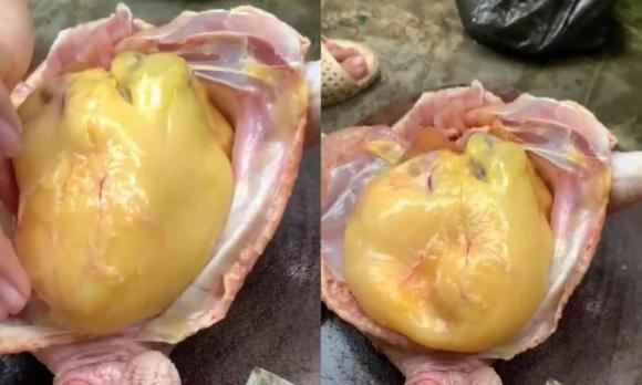 thịt lợn, bảo quản thịt lợn, thịt lợn để trong tủ lạnh