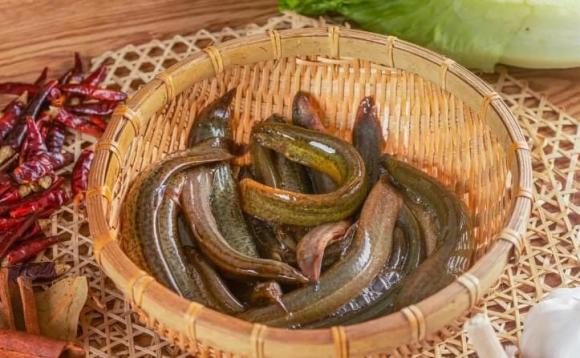 những loại cá không nên mua, cá nhiều ký sinh trùng, những loại cá ảnh hưởng sức khỏe