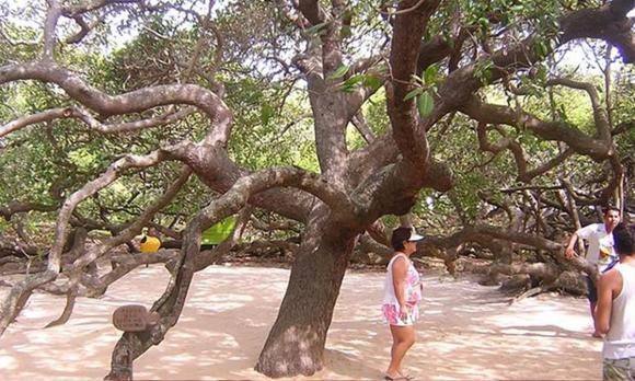 cảnh báo nguy hiểm
