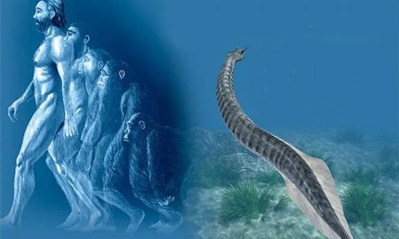 đầu giường, đặt giường, hướng giường, đặt giường hướng nào tốt, kiến thức 