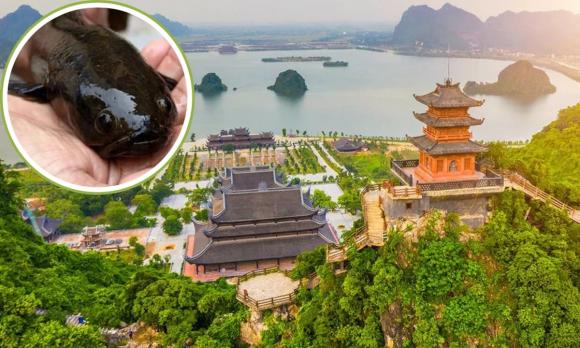 ngôi chùa, ngôi chùa đẹp, ngôi chùa đẹp ở Việt Nam, ngôi chùa ở châu á, kiến thức 
