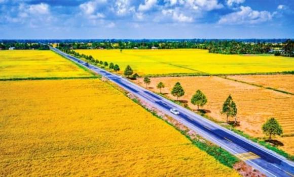 Thành phố duy nhất tại Việt Nam đặt tên phường theo số La Mã, Vị Thanh