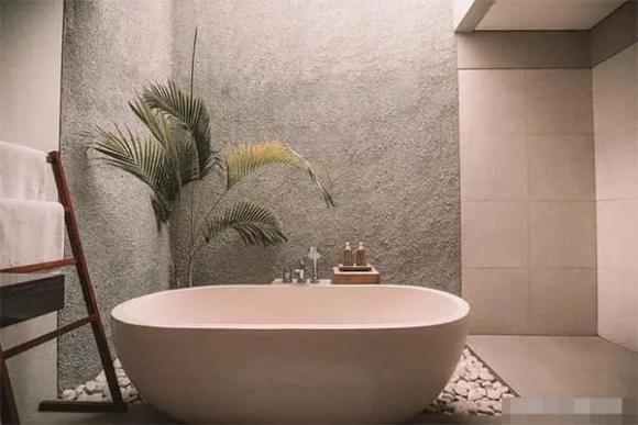 phong thủy nhà ở, phong thủy nhà, trồng cây trong nhà