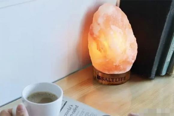 phong thủy nhà ở, phong thủy nhà, trồng cây trong nhà