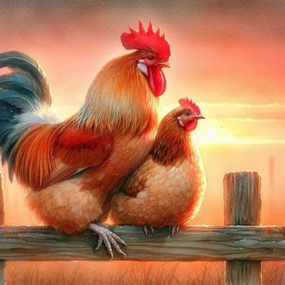 Tử vi, con giáp, tử vi hàng ngày, Tử vi ngày 19/11/2024