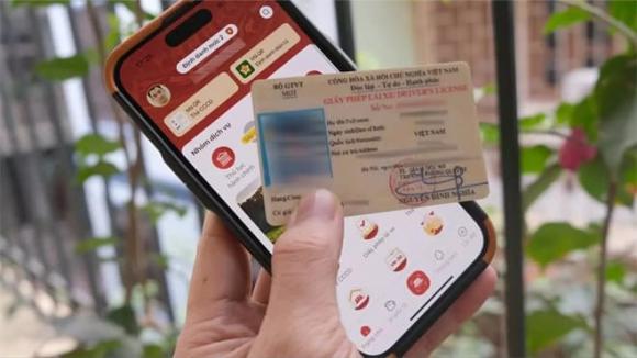Sử dụng giấy phép lái xe trên VNeID, Luật giao thông