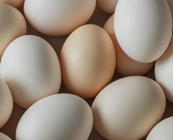 thực phẩm tốt, chăm sóc sức khỏe, protein